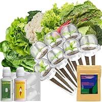 Algopix Similar Product 2 - LYKOCLEAN Salad Greens Seeds Pod for