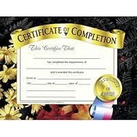 Algopix Similar Product 3 - HAYES SCHOOL PUBLISHING Certificate of