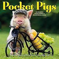 Algopix Similar Product 14 - Pocket Pigs Wall Calendar 2020