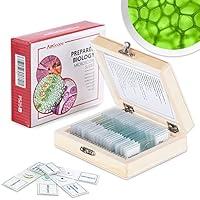 Algopix Similar Product 10 - AmScope PS25W Prepared Microscope Slide