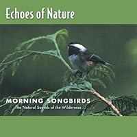 Algopix Similar Product 4 - Morning Songbirds: Echoes of Nature 8