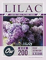 Algopix Similar Product 8 - lilac Coffee Table Picture Book