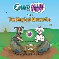 Algopix Similar Product 18 - The Magical Meteorite Zuko and Allie