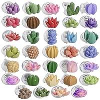 Algopix Similar Product 11 - 34 Pack Succulent Candle Mold Succulent