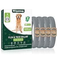 Algopix Similar Product 13 - 4 Pack Flea Collar for Dogs Dog Flea