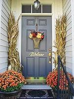 Algopix Similar Product 4 - Dried Corn Stalk Bundle  12 Per Bundle