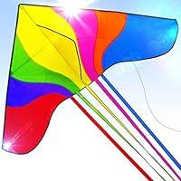 Algopix Similar Product 12 - Easy to Fly Large Nylon Bird Kite for
