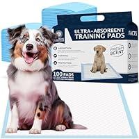 Algopix Similar Product 20 - American Kennel Club Scented Puppy