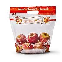 Algopix Similar Product 20 - Produce Autumn Glory Apples, 2 lb