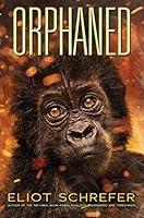 Algopix Similar Product 14 - Orphaned (Ape Quartet #4)