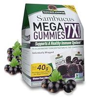Algopix Similar Product 3 - NatureS Answer Sambucus Mega Gummies