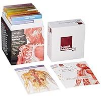 Algopix Similar Product 14 - Anatomy & Physiology Flash Cards