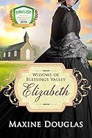 Algopix Similar Product 19 - Elizabeth Widows of Blessings Valley