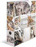 Algopix Similar Product 18 - Herma 7166 Carton Multicolour