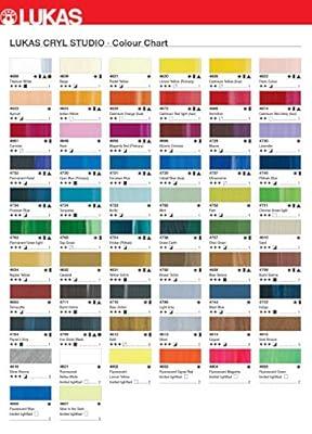  TBC The Best Crafts Paint Sticks,12 Classic Colors