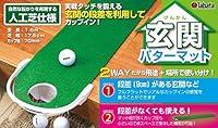 Algopix Similar Product 20 - Tabata Putting Mat for StepDown Floor