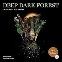 Algopix Similar Product 15 - Deep Dark Forest 2025 Wall Calendar