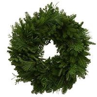 Algopix Similar Product 20 - Worcester Wreath 24Inch Mixed Greens