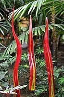 Algopix Similar Product 17 - Coloriscape Water Grass Garden Decor