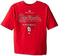 Algopix Similar Product 19 - MLB Boys St Louis Cardinals Momentum
