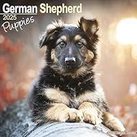 Algopix Similar Product 1 - German Shepherd Puppies Calendar 2025 