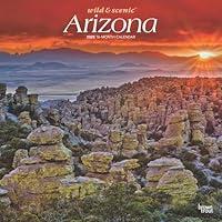 Algopix Similar Product 9 - Arizona Wild  Scenic 2025 12 X 24 Inch