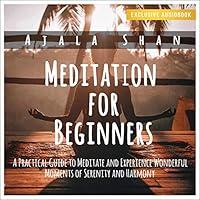 Algopix Similar Product 3 - Mindfulness for Beginners A Practical