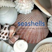 Algopix Similar Product 17 - Seashells