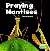 Algopix Similar Product 18 - Praying Mantises (Little Critters)