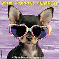 Algopix Similar Product 1 - What Puppies Teach Us 2021 Wall Calendar