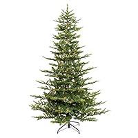 Algopix Similar Product 20 - Puleo International 75 Foot PreLit