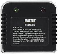 Algopix Similar Product 8 - JINDING GROUP CO 134463 12V Nicad