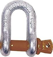 Algopix Similar Product 1 - Titan 10319065 D Type Anchor Shackle