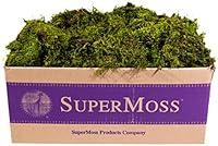 Algopix Similar Product 19 - SuperMoss Sheet Moss Mini Shredded