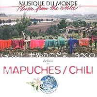 Algopix Similar Product 13 - Music From the World: Echoes of Chile