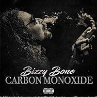 Algopix Similar Product 3 - Carbon Monoxide [Explicit]