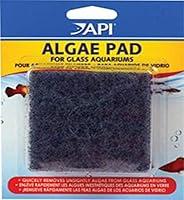 Algopix Similar Product 20 - API HAND HELD ALGAE PAD For Glass