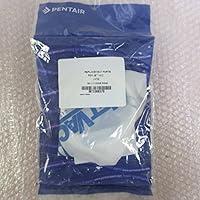 Algopix Similar Product 6 - Pentair JetVac Fine Silt Bag with