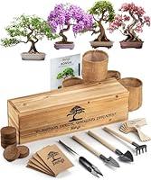 Algopix Similar Product 17 - Bonsai Seed Kit with 5 Types of