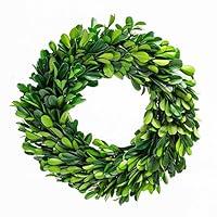 Algopix Similar Product 9 - BOXWOOD WORLD Boxwood Wreath 10 inch