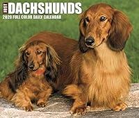 Algopix Similar Product 3 - Just Dachshunds 2020 Box Calendar Dog