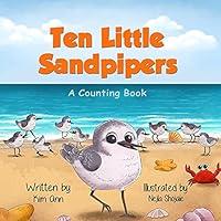 Algopix Similar Product 19 - Ten Little Sandpipers A Counting Book