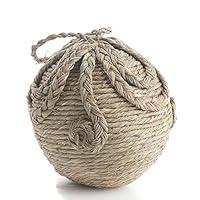 Algopix Similar Product 11 - Factory Direct Craft Set of 2 Natural
