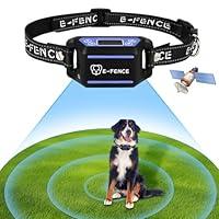 Algopix Similar Product 20 - EFENCE GPS Wireless Dog FenceDog