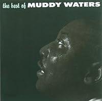 Algopix Similar Product 20 - The Best of Muddy Waters