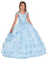 Algopix Similar Product 9 - Ball Gown Lace Applique Flower Girl