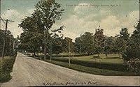Algopix Similar Product 6 - Forest Avenue From Apawanis Rye New
