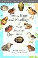 Algopix Similar Product 7 - Nests Eggs and Nestlings of North