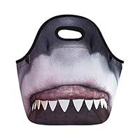 Algopix Similar Product 16 - Coloranimal Cool Animal Shark Pattern