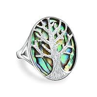 Algopix Similar Product 6 - Large Statement Oval Rainbow Abalone